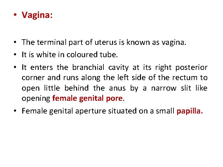  • Vagina: • The terminal part of uterus is known as vagina. •