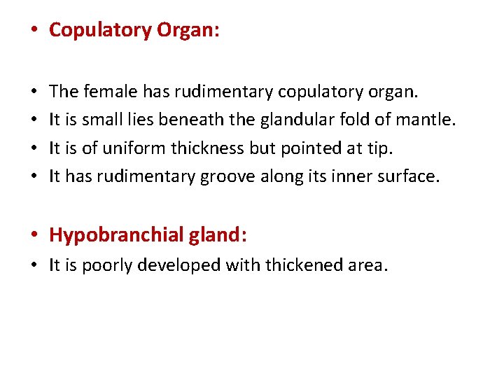  • Copulatory Organ: • • The female has rudimentary copulatory organ. It is