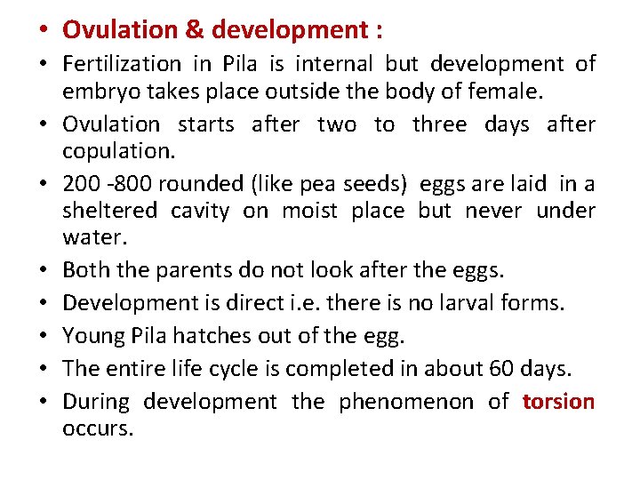  • Ovulation & development : • Fertilization in Pila is internal but development