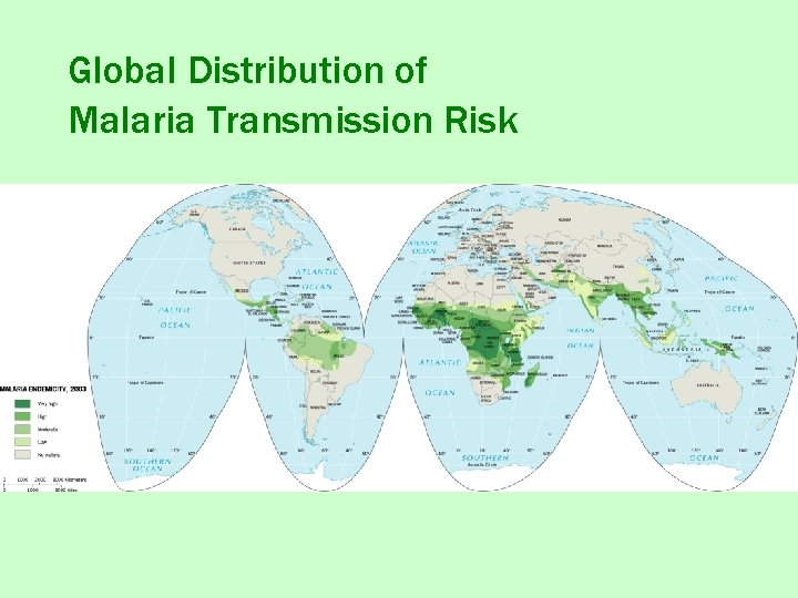 Global Distribution of Malaria Transmission Risk 