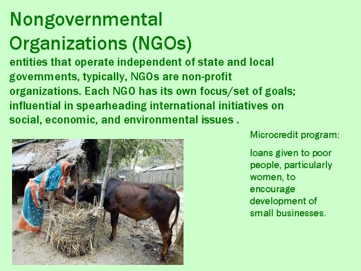 Nongovernmental Organizations (NGOs) entities that operate independent of state and local governments, typically, NGOs
