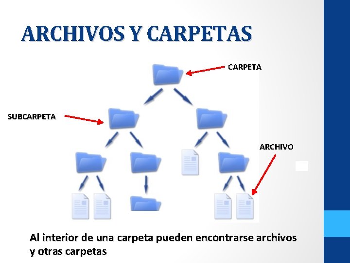 ARCHIVOS Y CARPETAS CARPETA SUBCARPETA ARCHIVO Al interior de una carpeta pueden encontrarse archivos