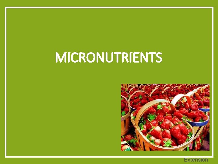MICRONUTRIENTS Extension 