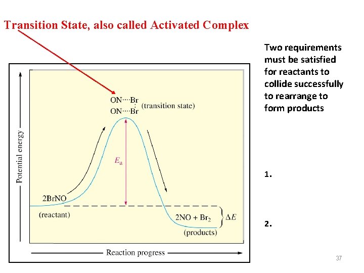 Transition State, also called Activated Complex Two requirements must be satisfied for reactants to