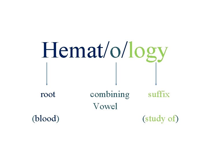 Hemat/o/logy root (blood) 15 combining Vowel suffix (study of) 