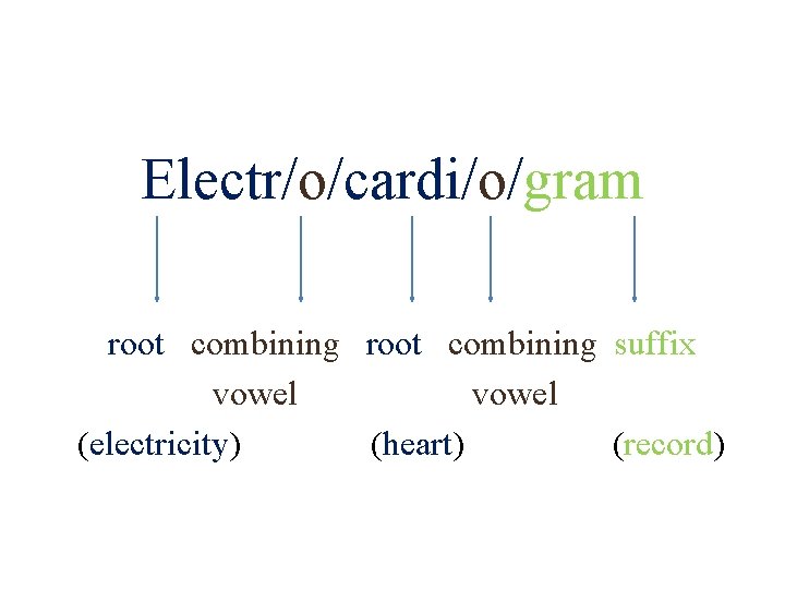 Electr/o/cardi/o/gram root combining suffix vowel (electricity) (heart) (record) 16 