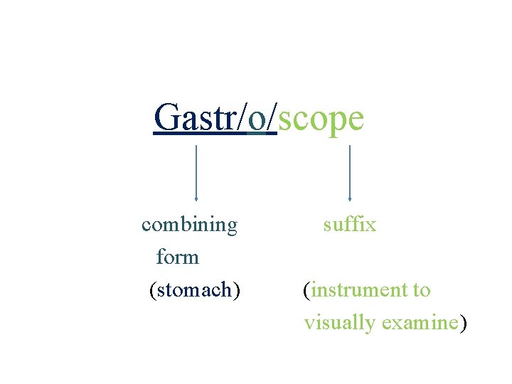 Gastr/o/scope combining form (stomach) 18 suffix (instrument to visually examine) 