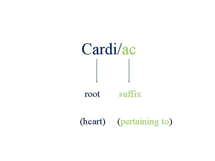 Cardi/ac root (heart) 20 suffix (pertaining to) 