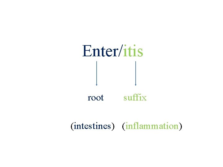 Enter/itis root suffix (intestines) (inflammation) 21 