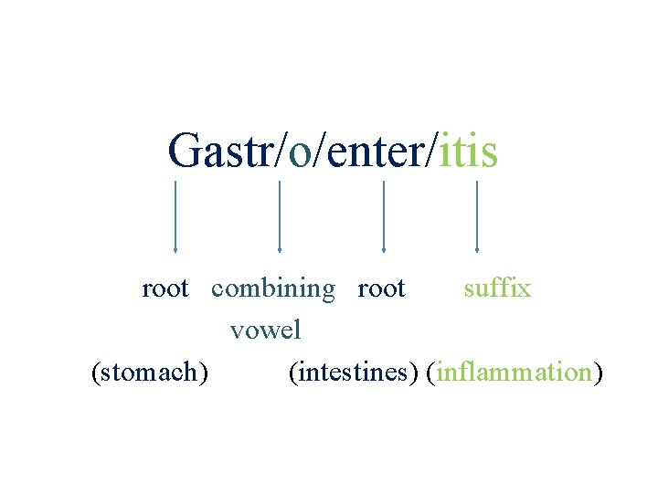 Gastr/o/enter/itis root combining root suffix vowel (stomach) (intestines) (inflammation) 22 