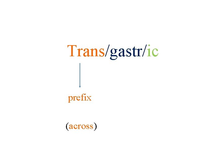 Trans/gastr/ic prefix (across) 24 