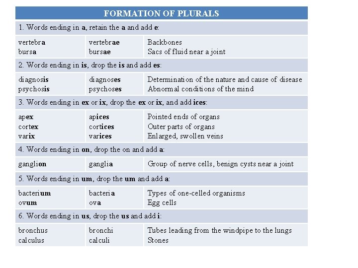 FORMATION OF PLURALS 1. Words ending in a, retain the a and add e: