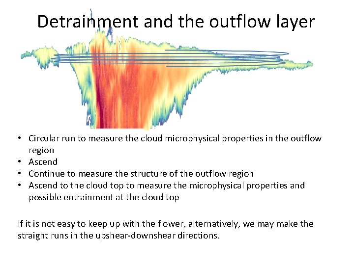 Detrainment and the outflow layer • Circular run to measure the cloud microphysical properties