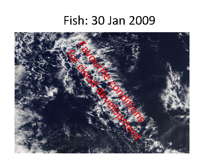 Fish: 30 Jan 2009 ns nt itio e nd pm co elo ite ev