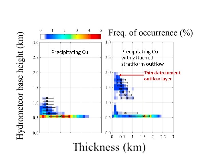 Precipitating Cu with attached stratiform outflow Thin detrainment outflow layer 