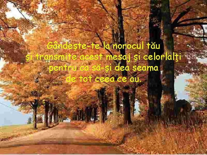 Gândeşte-te la norocul tău şi transmite acest mesaj şi celorlalţi pentru ca să-şi dea