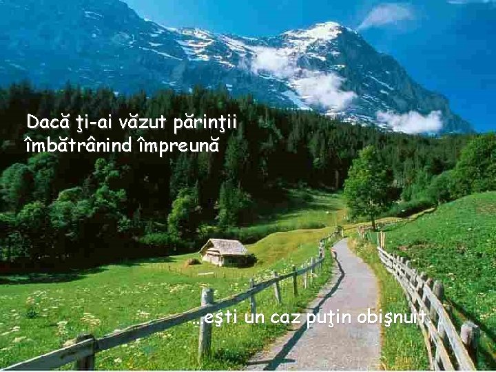 Dacă ţi-ai văzut părinţii îmbătrânind împreună …eşti un caz puţin obişnuit. 