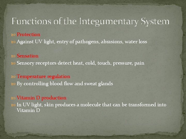 Functions of the Integumentary System Protection Against UV light, entry of pathogens, abrasions, water