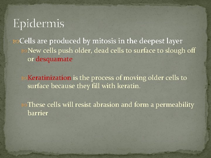 Epidermis Cells are produced by mitosis in the deepest layer New cells push older,