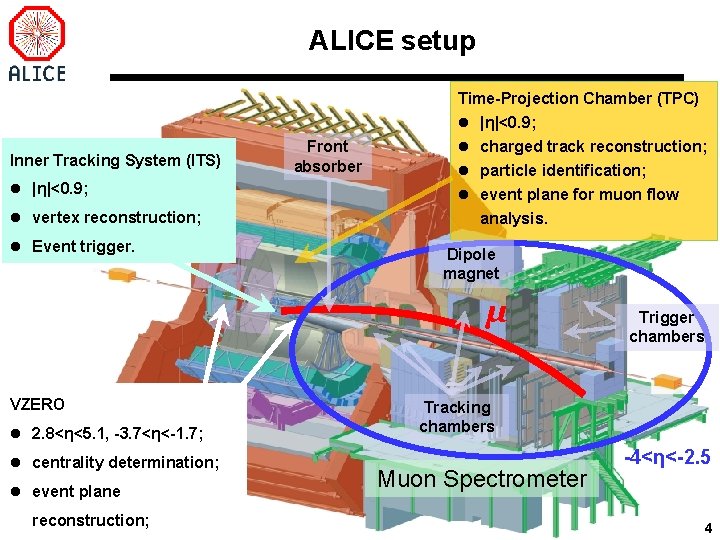ALICE setup Time-Projection Chamber (TPC) l |η|<0. 9; Inner Tracking System (ITS) l |η|<0.