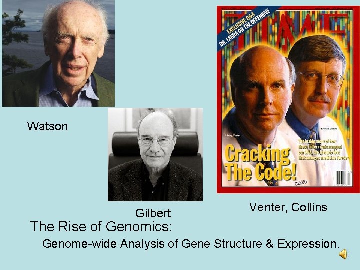 Watson Gilbert Venter, Collins The Rise of Genomics: Genome-wide Analysis of Gene Structure &