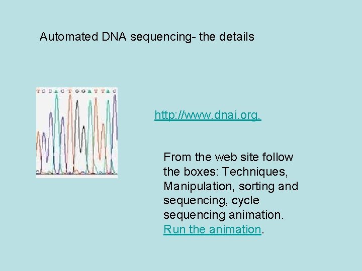 Automated DNA sequencing- the details http: //www. dnai. org. From the web site follow