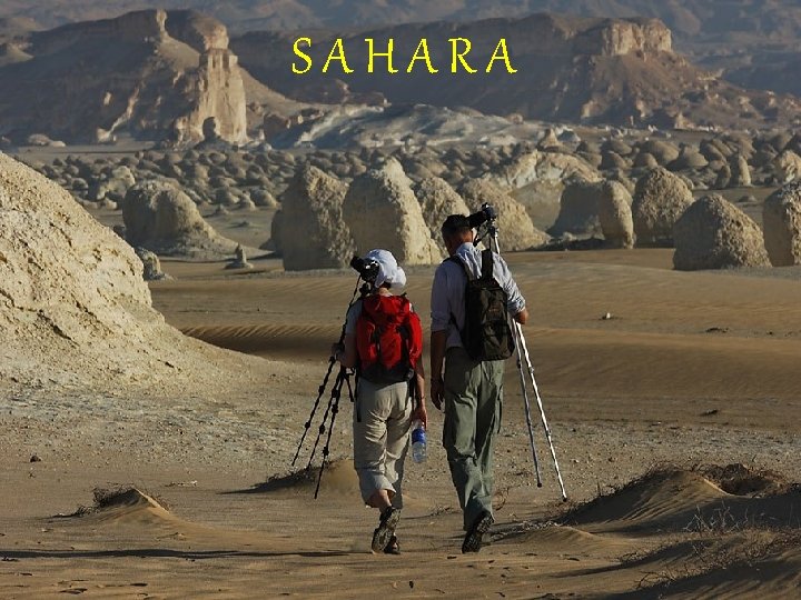 SAHARA 