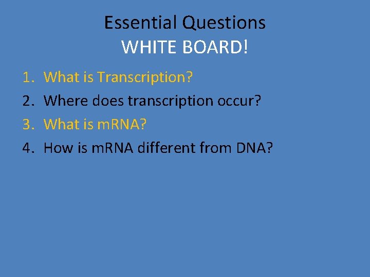 Essential Questions WHITE BOARD! 1. 2. 3. 4. What is Transcription? Where does transcription