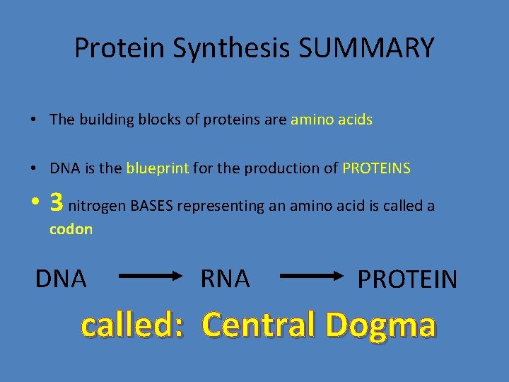 Protein Synthesis SUMMARY • The building blocks of proteins are amino acids • DNA