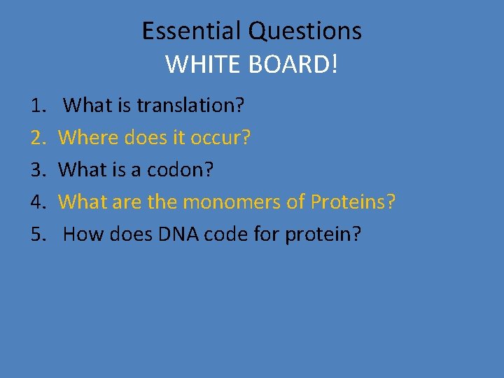 Essential Questions WHITE BOARD! 1. 2. 3. 4. 5. What is translation? Where does