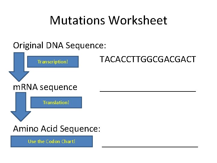 Mutations Worksheet Original DNA Sequence: TACACCTTGGCGACGACT Transcription! m. RNA sequence __________ Translation! Amino Acid