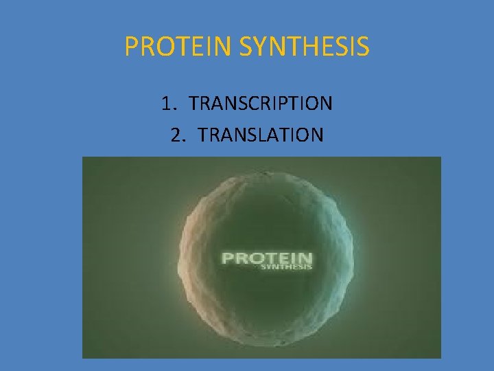 PROTEIN SYNTHESIS 1. TRANSCRIPTION 2. TRANSLATION 