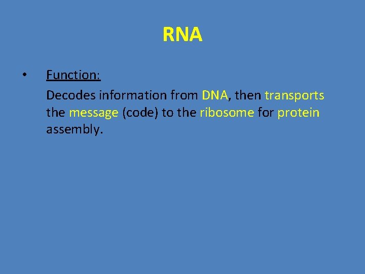 RNA • Function: Decodes information from DNA, then transports the message (code) to the