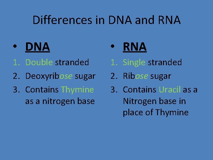 Differences in DNA and RNA • DNA • RNA 1. Double stranded 2. Deoxyribose