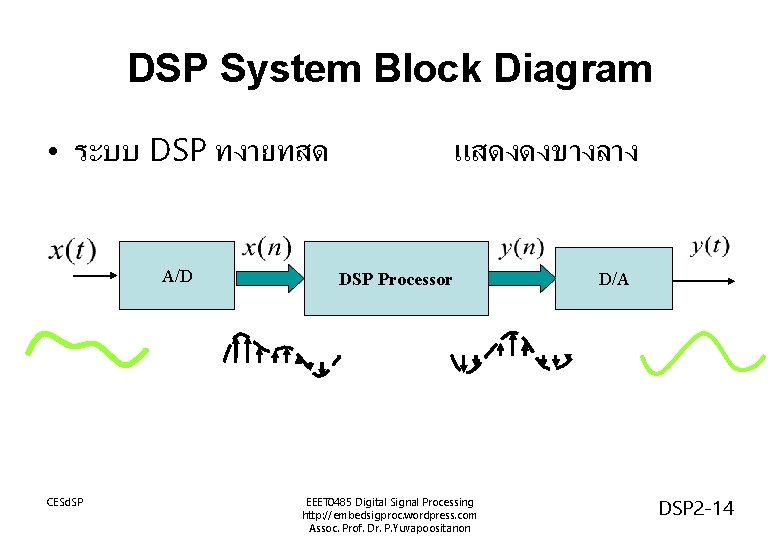 DSP System Block Diagram • ระบบ DSP ทงายทสด A/D CESd. SP แสดงดงขางลาง DSP Processor
