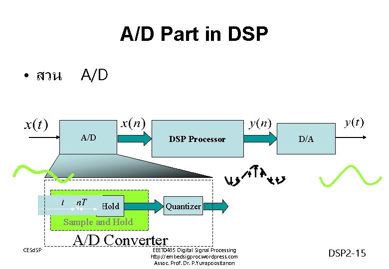 A/D Part in DSP • สวน A/D DSP Processor Hold D/A Quantizer Sample and