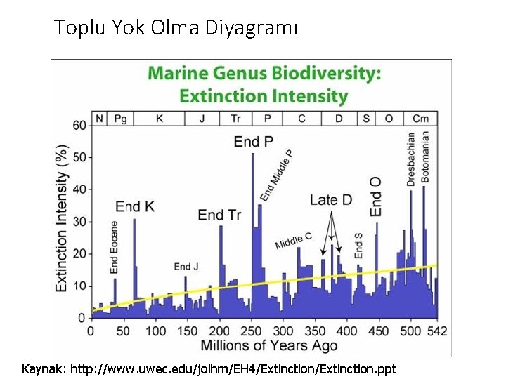 Toplu Yok Olma Diyagramı Kaynak: http: //www. uwec. edu/jolhm/EH 4/Extinction. ppt 