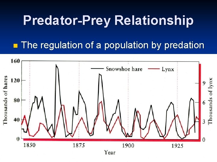 Predator-Prey Relationship n The regulation of a population by predation 
