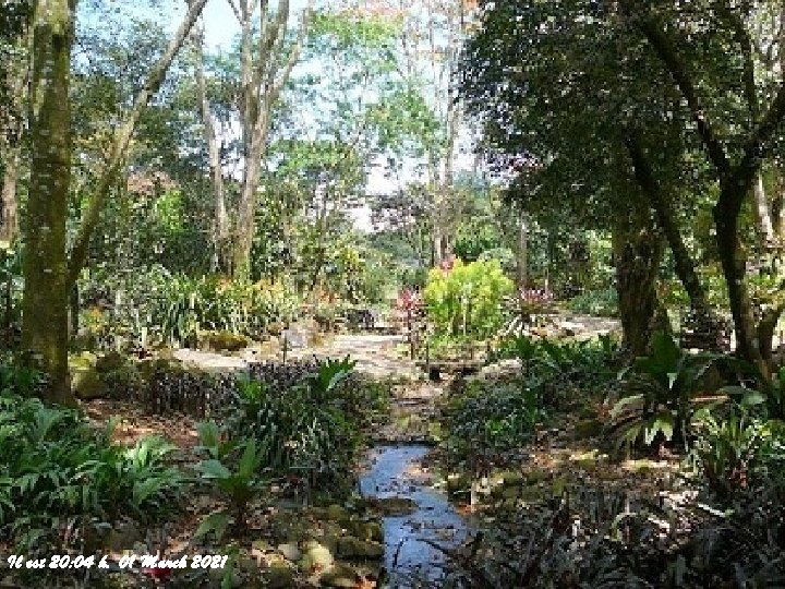 Il est 20: 04 h. 01 March 2021 