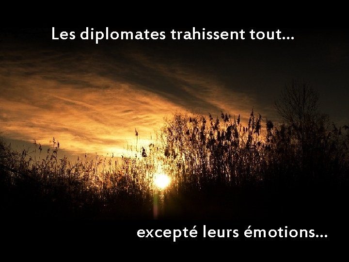 Les diplomates trahissent tout… excepté leurs émotions… 