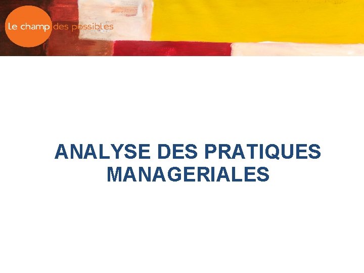 ANALYSE DES PRATIQUES MANAGERIALES 