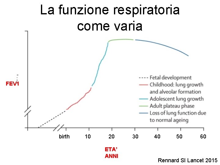 La funzione respiratoria come varia FEV 1 birth 10 20 ETA’ ANNI 30 40