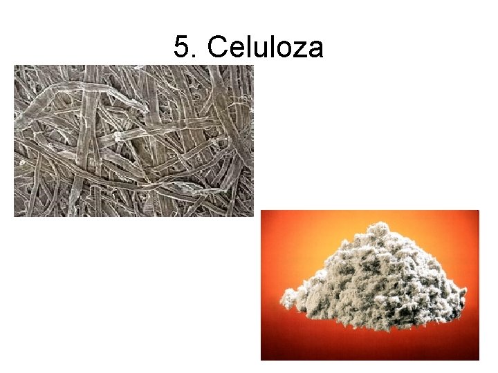 5. Celuloza 