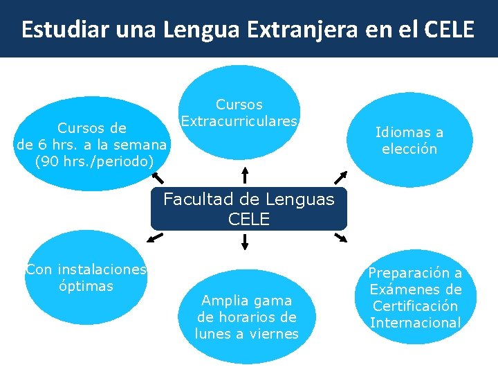 Estudiar una Lengua Extranjera en el CELE Cursos de de 6 hrs. a la