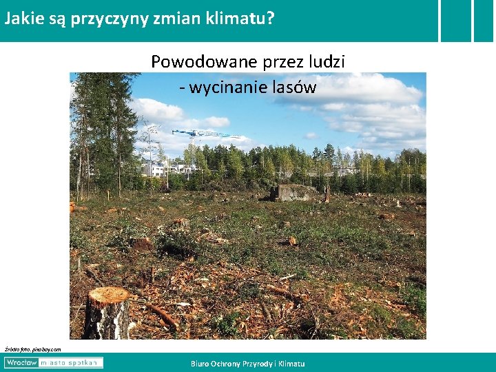 Jakie są przyczyny zmian klimatu? Powodowane przez ludzi - wycinanie lasów Źródło foto: pixabay. Jakie są przyczyny zmian klimatu? Powodowane przez ludzi - wycinanie lasów Źródło foto: pixabay.