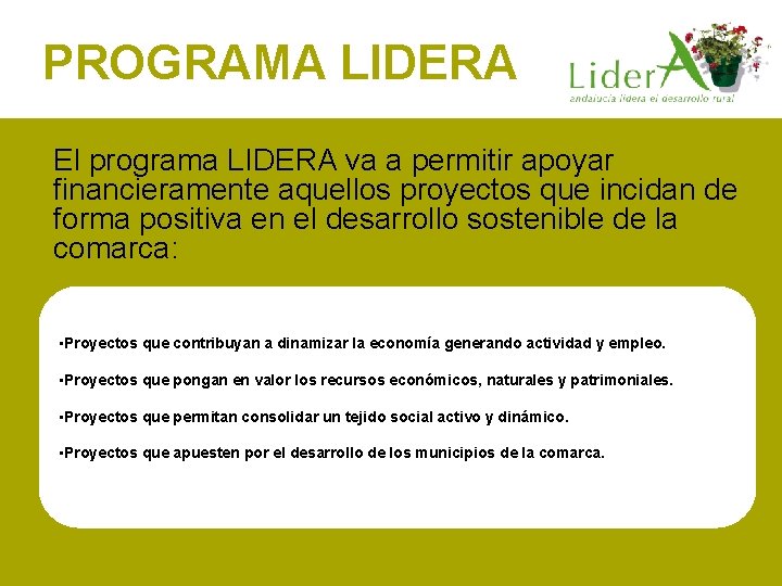 PROGRAMA LIDERA El programa LIDERA va a permitir apoyar financieramente aquellos proyectos que incidan