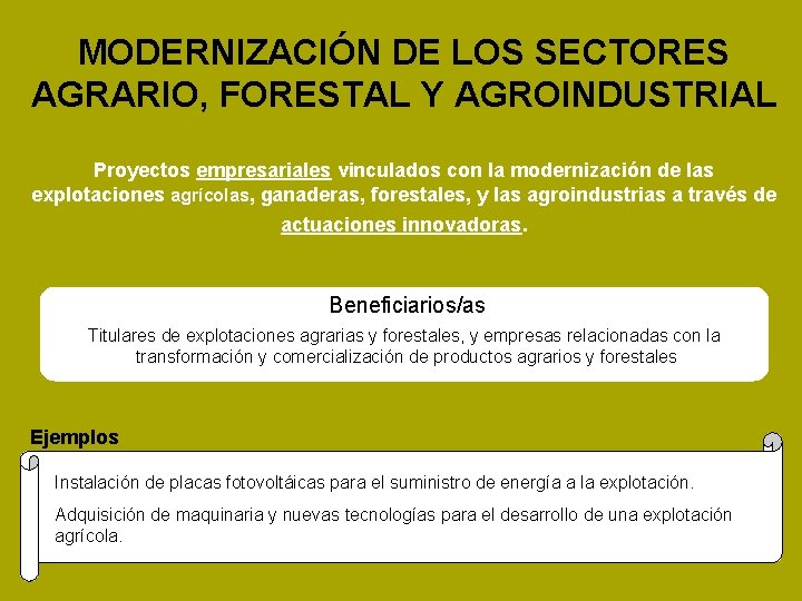 MODERNIZACIÓN DE LOS SECTORES AGRARIO, FORESTAL Y AGROINDUSTRIAL Proyectos empresariales vinculados con la modernización