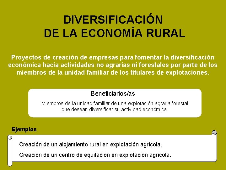 DIVERSIFICACIÓN DE LA ECONOMÍA RURAL Proyectos de creación de empresas para fomentar la diversificación