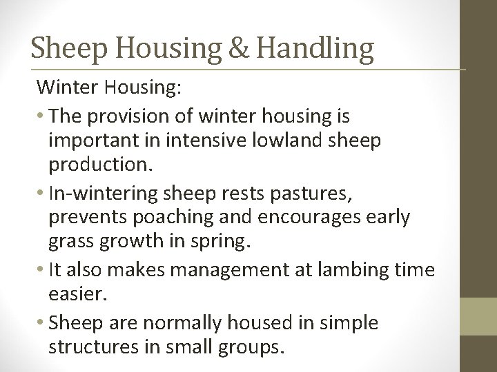 Sheep Housing & Handling Winter Housing: • The provision of winter housing is important