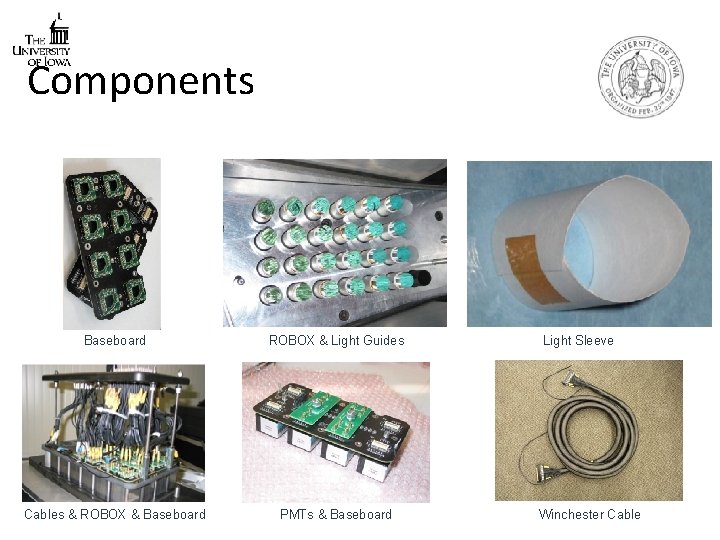 Components Baseboard ROBOX & Light Guides Cables & ROBOX & Baseboard PMTs & Baseboard